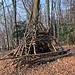 tolle Waldhütte 