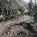 Schlangenweg