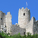 Oberhalb thront die prächtige Ruine Neu Falkenstein.