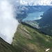 Lac de Brienz 1700m plus bas 