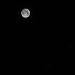 Mond und Jupiter an frühen morgen vom 17.6.2019. Das Bild ist aus zwei Aufnahmen zusammengesetzt weil bei zu langer Belichtungszeit der Mond überbelichtet wäre.