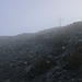 Plötzlich tauchte im Nebel das Gipfelkreuz vom Piz Terri (3149,3m) auf als ich die obersten Meter über die Südflanke aufstieg.