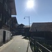 Calfreisen