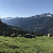 Bei Balnettis