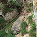 hier geht es Mitte Bild rechts am Felsen hinauf in Richtung Spätenbach-Alpe, nach links hinunter geht ein Weg, der nicht mehr unterhalten wird und gesperrt ist.