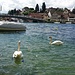 Der Wasserspiegel im Rhein sinkt wieder