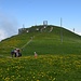 Gipfelbereich Fronalpstock (IV)