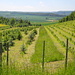 Oberhalb von Wettensen