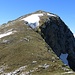 The summit of Schiahorn.