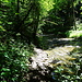 auch hier, Wasser und Weg, mehr Wasser als Weg