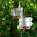 die Wutachschlucht ist allgegenwärtig