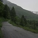 Von Ghirone Aquilesco wanderte ich bis auf zwei, drei Abkürzungen von Kurven stets dem Strässchen ins Val Camadra hinauf. Oberhalb der Alp Daigra nahm zwischenzeitlich der Niederschlag zu.
