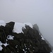 Piz Vial (3168,4m): Leider hielt sich wie schon sechs Tage zuvor am Piz Terri eine hartnäckige Wolke am Gipfel. Die Aussicht reichte deshalb nur über den obersten Südostgrat über den ich den Gipfel erreicht hatte.