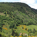 Nomen est omen: Panoramablick vom Centier Panoramique aus