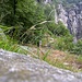Im Val d'Iragna