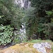 ♬♫♬ J'entends le loup et le renard et la belette ♫♬♫<br />[https://www.youtube.com/watch?v=GRrZFL3z0aY]
