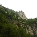 Am Wegrand
