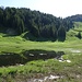Der Stelsersee ist von saftigem Weidegebiet umgeben