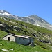 Alpe della Palù.