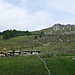 Alpe di Mezzo (1540 m)