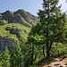 Herrlich frisches Grün auf dem Weg zur Alp Tomül