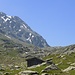 At Alp Sura.