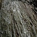 Wasserfall im Seitenarm