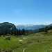 Ich wanderte auf dem weiterhin breiten Weg hinauf zur Alp Büchel.
