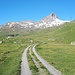 <b>Mi trovo nel Parc Ela, il più grande parco naturale della Svizzera. All’orizzonte domina la scena il Piz Forcellina (2938 m), che nasconde il più noto Piz Turba (3017 m).</b>