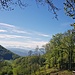Die Alpen grüssen aus der Ferne