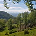 .... und nochmals ein Blick zu den Alpen