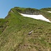Dahinter steilt schon der Aufstieg zum Gipfelgrat des Lauibergs auf, der auf guten, deutlichen Trittspuren gewonnen wird.