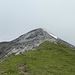 Der weitere Weg zur Großwandspitze führt von der grünen Spitze in der Südflanke nach links leicht ansteigend zu dem Sattel vor dem Westanstieg.