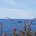 Auch die Piraten mögen diese Insel :)
