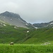 Weidende Kühe mit gebimmel und Berge, Alpenidylle pur