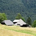 Wittenbachhof - ein typischer Schwarzwaldhof