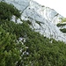 am Latschenband wird wieder sondiert und erst mal wieder Richtung Preußschlucht gegangen