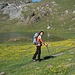 Lago alpino contornato da migliaia di fiori gialli...