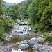 Sul primo ponte che attraversa il torrente Loana.
