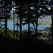 Blick auf den Kochelsee von etwa am Ende des Karrenwegs im unteren Teil des Rückens Richtung Feuereck