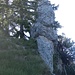 Felsen an meinem Weg