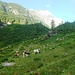 Alpe Valmontasca 