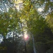"Sobald es hell wird, soll der Krieger sich im Wald verstecken, bis es dunkel wird."<br /><br />(Bildunterschrift aus einem Hikr-Bericht)<br /><br /><br />