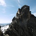 Blick zum Schlußaufschwung der Zahnspitze, war hier ein Backenzahn namensgebend, könnte auch eine Blume sein