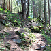 Sur le sentier menant à Alte Stafel.