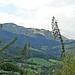 Blick zum Hausberg