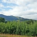 Blick zum Hausberg