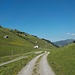 Bei der Unterdamülser Alpe befindet sich die tiefste Stelle zwischen Gatthorngruppe und dem restlichen Bregenzerwaldgebirge