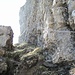Seilsicherung dem Felsen entlang bis zum Einstieg der Kletterei am Grat.