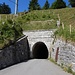 Noch vor dem alten Tunnel nahm ich den Weg hinauf Richtung Plattaspitz/Bargällasattel.